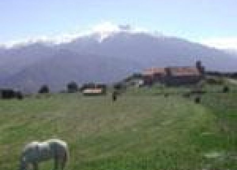 BALLESTERA
