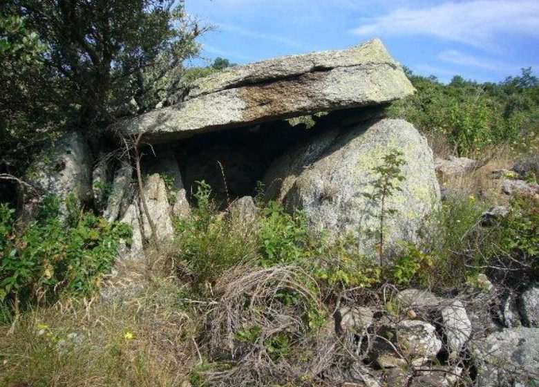 BALLESTERA