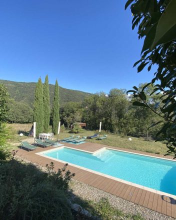 LES DEUX SOURCES – AGAPANTHE