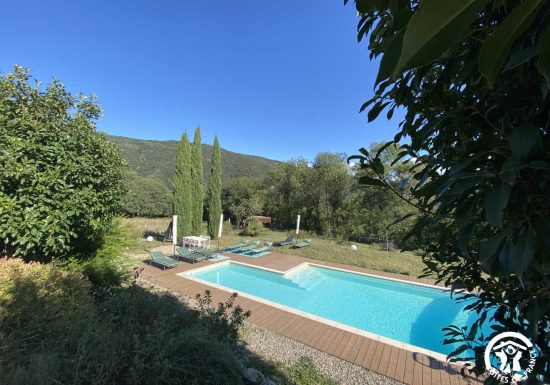 LES DEUX SOURCES – AGAPANTHE