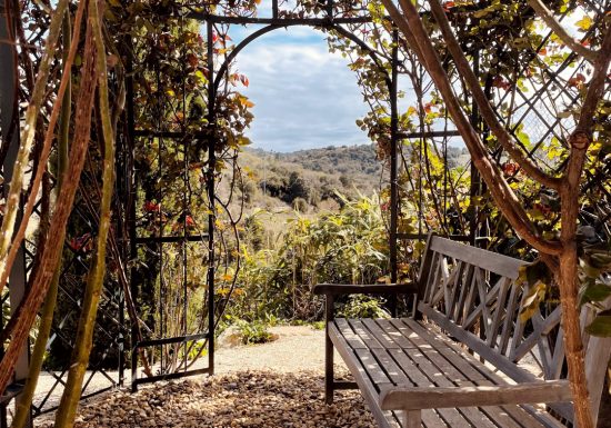 GRANGE GAUCHE BY DOMAINE RIBERACH