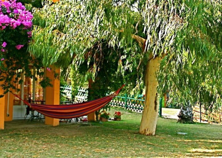 LES EUCALYPTUS
