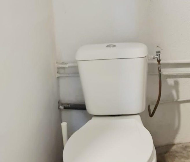 FLEUR D&rsquo;ORANGER