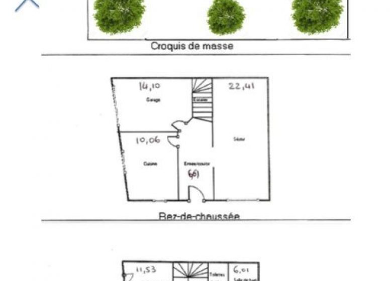 FLEUR D&rsquo;ORANGER