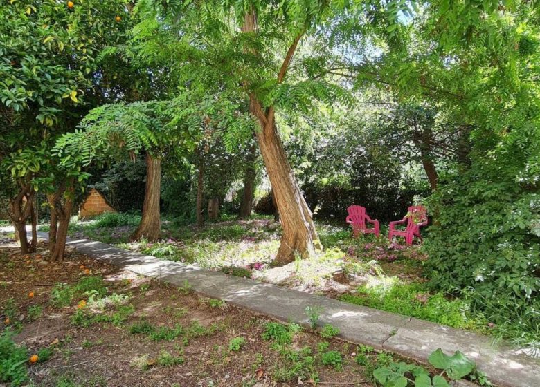 FLEUR D&rsquo;ORANGER