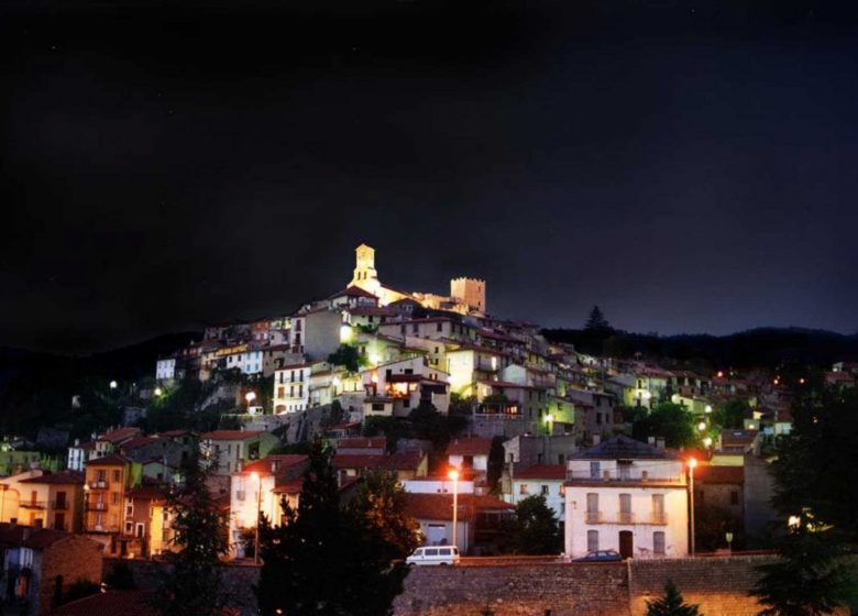 L’ALZINA