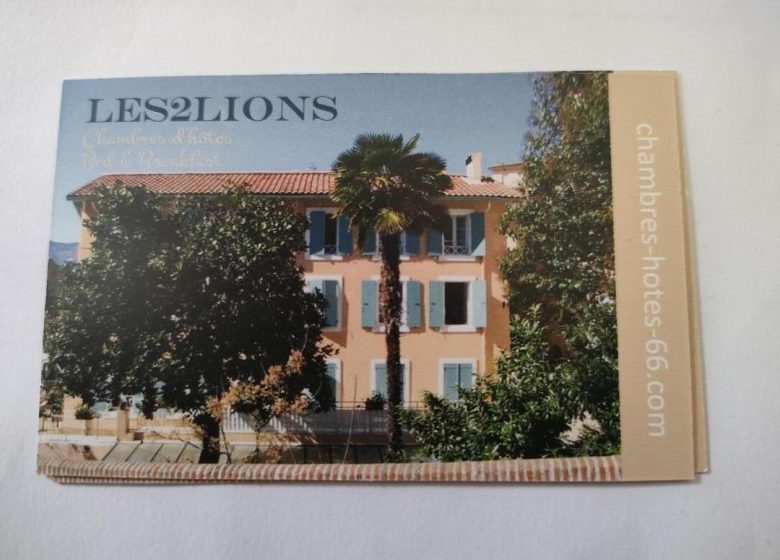 LES DEUX LIONS