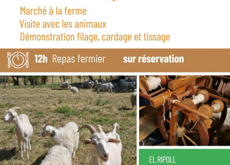 FERMES EN FÊTE : MOHAIR DU VALLESPIR