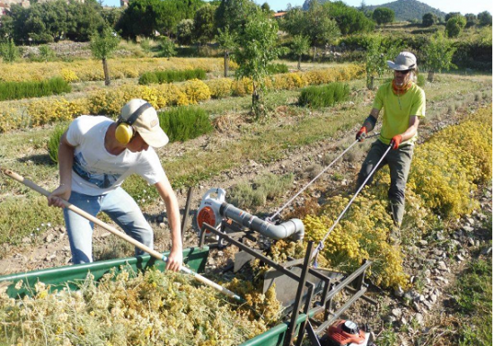 FONDATION DU PRIEURE DE MARCEVOL