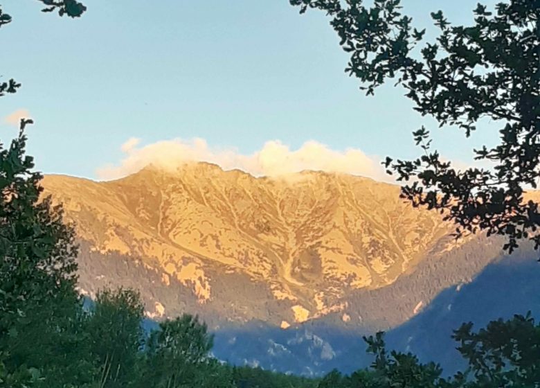 LA POMMERAIE DU CANIGOU