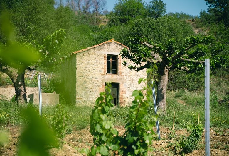 PASS CANIGO : EXCURSION PATRIMOINE ET TERROIR