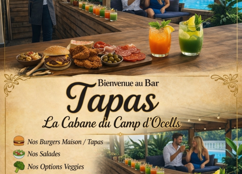 LA CABANE DU CAMP D&rsquo;OCELLS