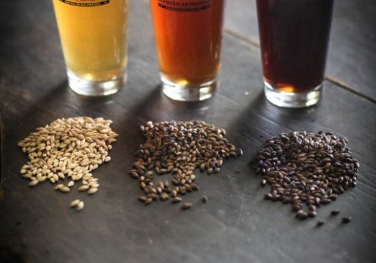 BRASSERIE ARTISANALE ALZINA