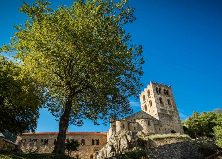 ABADÍA DE SAN MARTÍN DEL CANIGOU