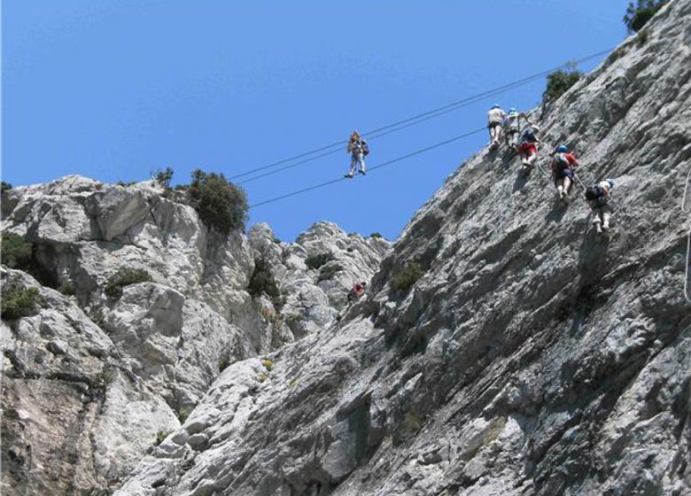 ADELINE ESCALANDO