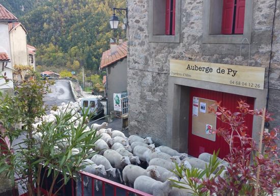AUBERGE DE PY