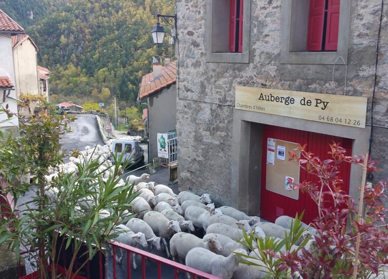 AUBERGE DE PY