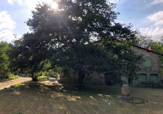 LA POMMERAIE DU CANIGOU