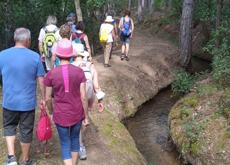 BALADES DU CONFLENT