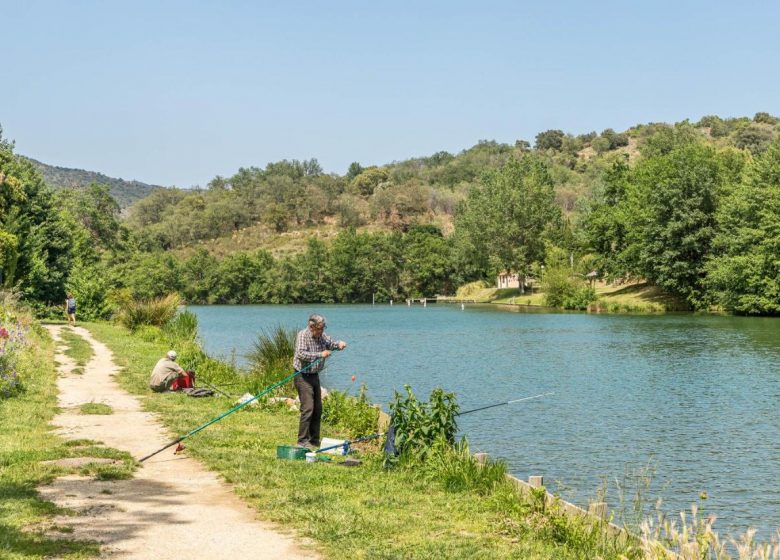 CAMPING THE BANKS OF LAKE VINÇA 66