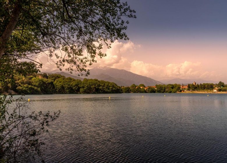 CAMPING A ORILLAS DEL LAGO DE VINÇA 66