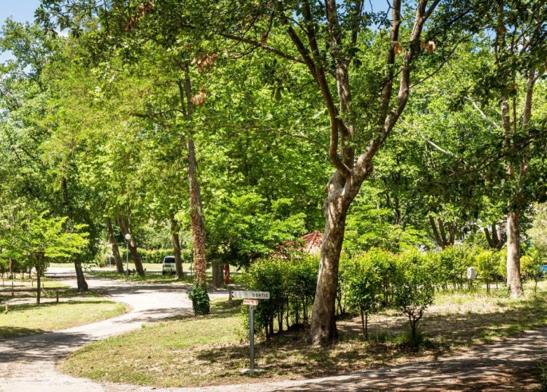 CAMPING THE BANKS OF LAKE VINÇA 66