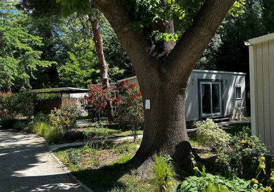 CAMPING LES PORTES DU CANIGOU