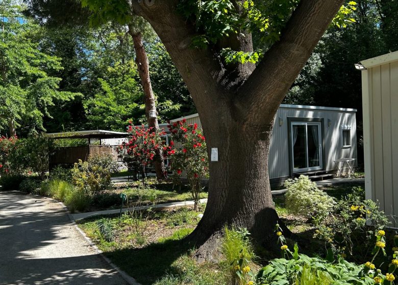 CAMPING LES PORTES DU CANIGOU