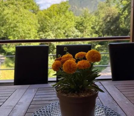 GÎTE AUBERGE DU CANIGO