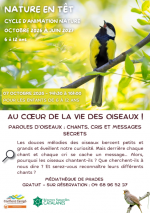 RNC NATURE EN TÊT: AU COEUR DE LA VIE DES OISEAUX!
