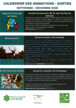 Réserve naturelle de Nohèdes BRAME DU CERF