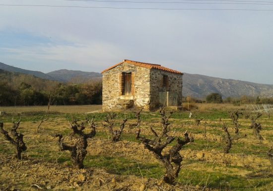 LES VIGNERONS EN TERRES PLURIELLES