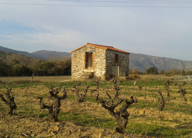 VITICULTORES EN TIERRAS PLURAL