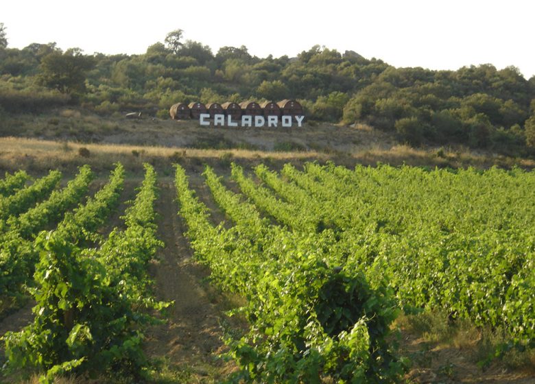 CASTILLO DE CALADROY