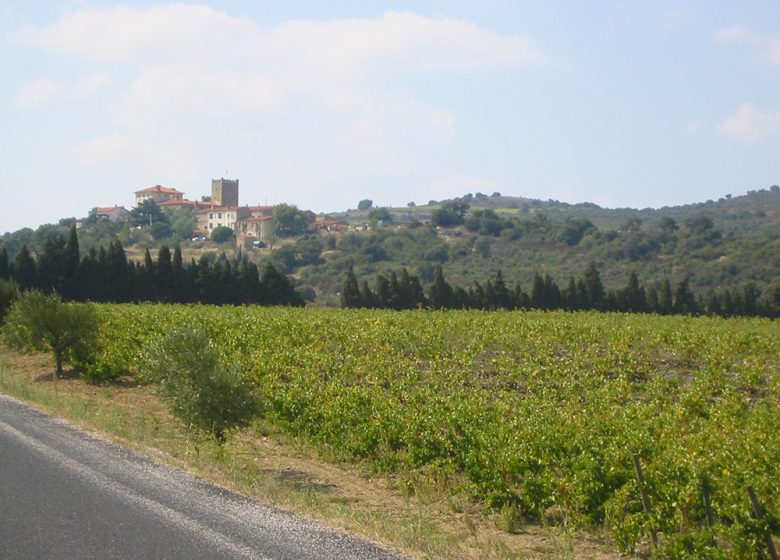 CHATEAU DE CALADROY