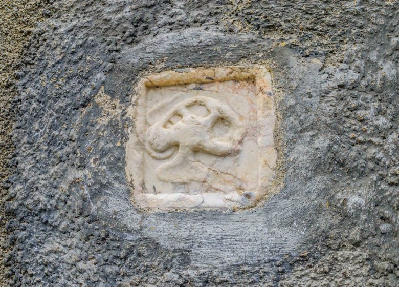 COUNTRY OF ART AND HISTORY CONFLENT CANIGÓ