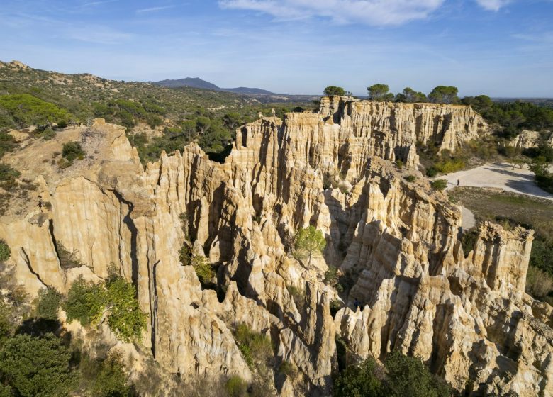 SITE DES ORGUES