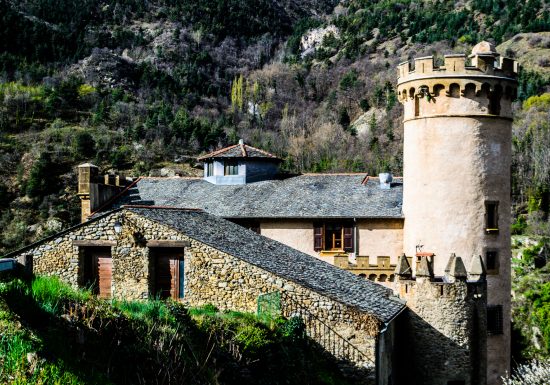 RESERVE NATURELLE REGIONALE DE NYER