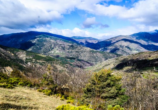RESERVE NATURELLE REGIONALE DE NYER