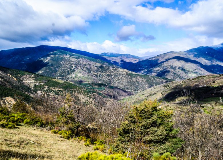 RESERVE NATURELLE REGIONALE DE NYER