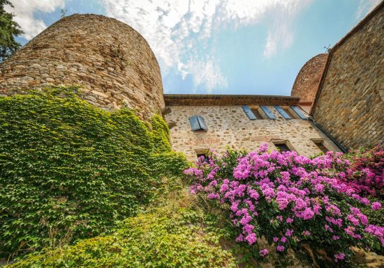 CHÂTEAU ET TOURS DE PALALDA