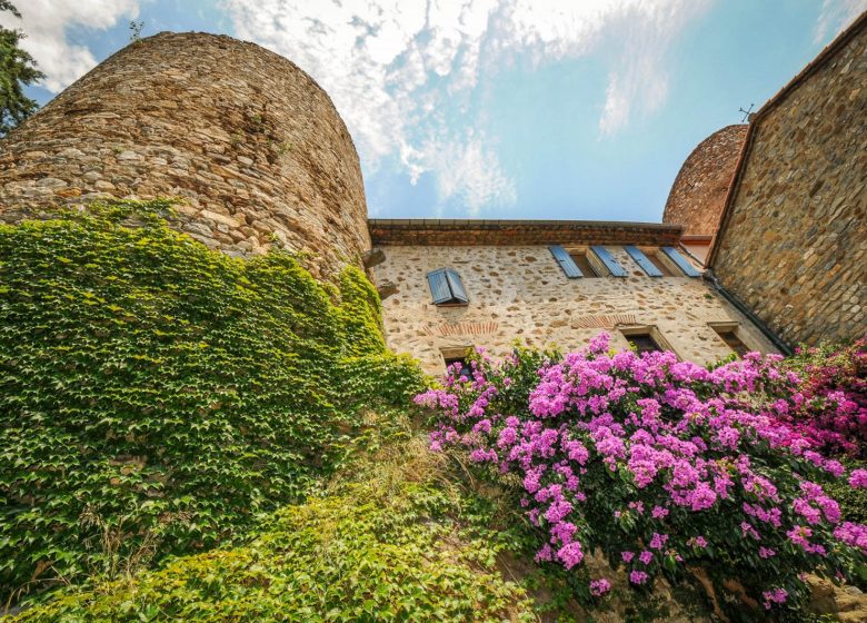 CHÂTEAU ET TOURS DE PALALDA