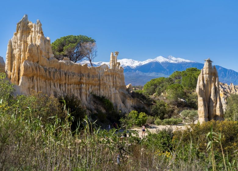 SITE DES ORGUES