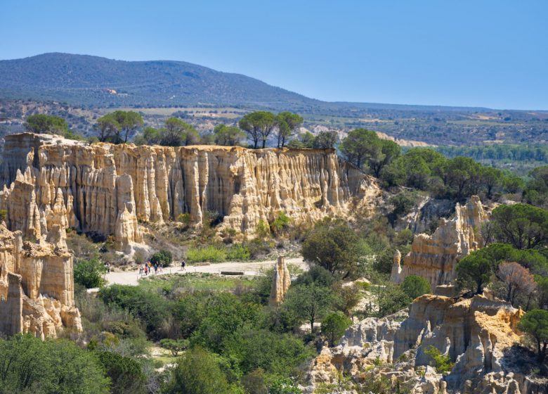 SITE DES ORGUES