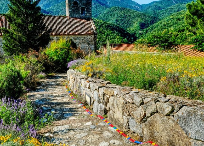 VISITE GUIDÉE : MUSÉE MÉDIÉVAL, ÉGLISE ROMANE ET CONJURADOR