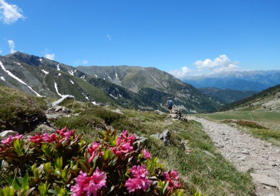 ENTRE TERRE ET EAU JEROME LACOU