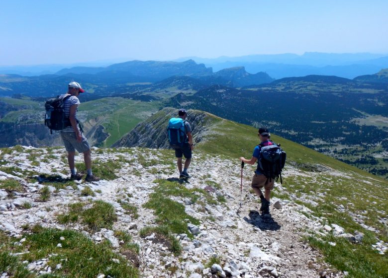 ENTRE TERRA I AIGUA JEROME LACOU