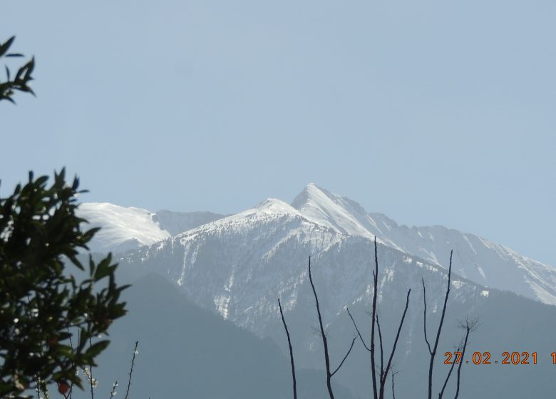 LE CANIGOU