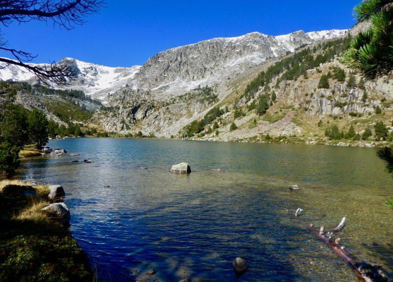 ENTRE TERRE ET EAU JEROME LACOU