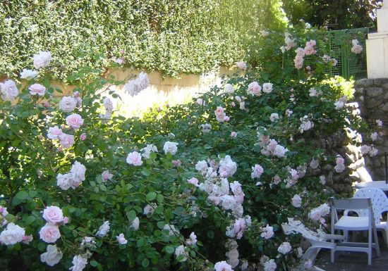 DESRUMAUX VAILLS NADINE